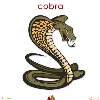 w33961_01 cobra
