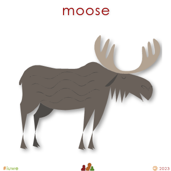 w00472_01 moose