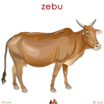 w33979_01 zebu