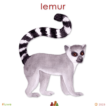 z32034_01 lemur