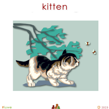 w01419_02 kitten