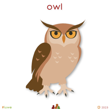 w00529_01 owl