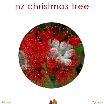 w02322_01 nz christmas tree