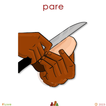 w31104_01 pare