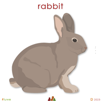 w00519_01 rabbit