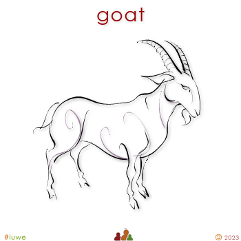 w00422_02 goat