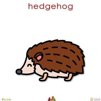 w01707_01 hedgehog