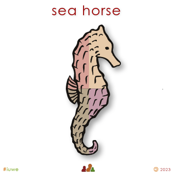 w01687_01 sea horse